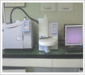 Gas-Chromatography